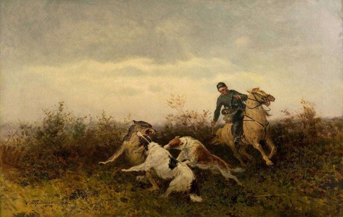 Wolf hunt with two borzois